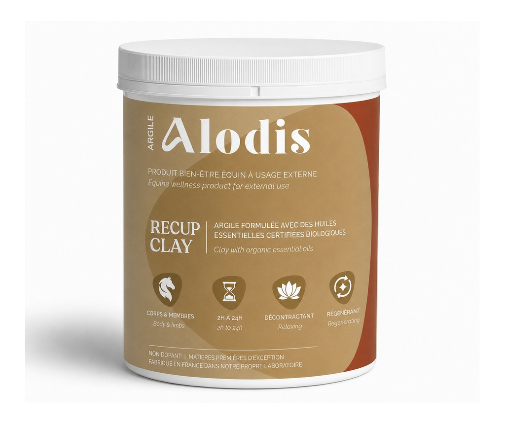 [002-001] Recup Clay (1KG)