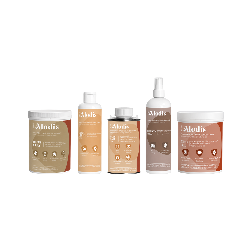 Pack Essentiels